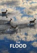 Watch The Flood Primewire