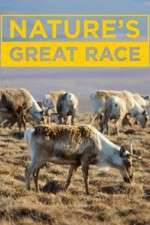 Watch Nature's Great Race Primewire