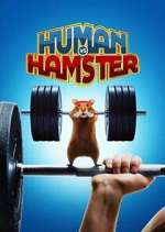 Watch Human vs. Hamster Primewire