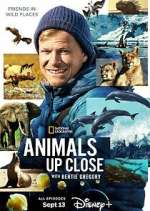 Watch Animals Up Close with Bertie Gregory Primewire