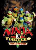 Watch Ninja Turtles: The Next Mutation Primewire