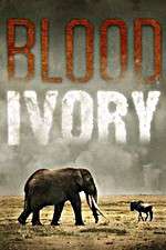 Watch Blood Ivory Primewire