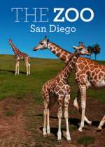 Watch The Zoo: San Diego Primewire