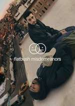 Watch Flatbush Misdemeanors Primewire