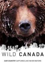 Watch Wild Canada Primewire