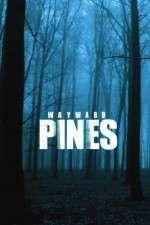Watch Wayward Pines Primewire