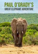 Watch Paul O'Grady's Great Elephant Adventure Primewire