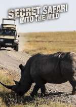 Watch Secret Safari: Into the Wild Primewire