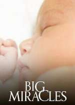 Watch Big Miracles Primewire