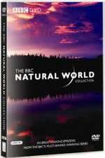 Watch The Natural World Primewire