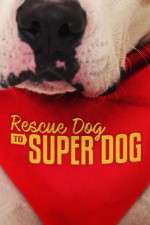 Watch Rescue Dog to Super Dog (US) Primewire