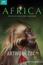 Watch Africa Primewire