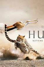 Watch The Hunt Primewire