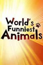 Watch The World\'s Funniest Animals Primewire