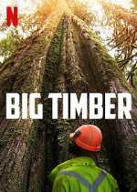 Watch Big Timber Primewire