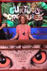 Watch Curious Creatures Primewire