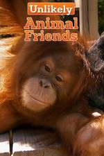 Watch Unlikely Animal Friends Primewire