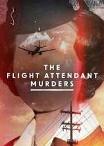Watch The Flight Attendant Murders Primewire