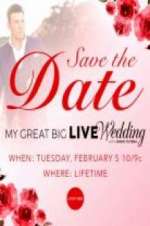 Watch My Great Big Live Wedding with David Tutera Primewire