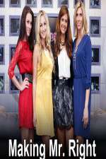 Watch Making Mr. Right Primewire