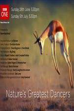 Watch Nature's Greatest Dancers Primewire