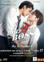 Watch Bad Guy My Boss Primewire