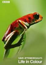 Watch Attenborough's Life in Colour Primewire