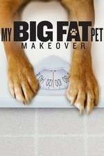 Watch My Big Fat Pet Makeover Primewire