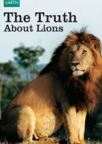 Watch The Truth About Lions Primewire