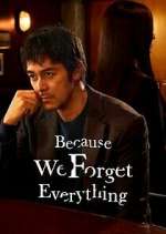 Watch Because We Forget Everything Primewire
