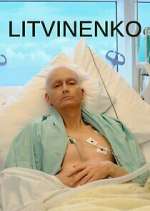 Watch Litvinenko Primewire