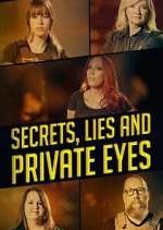 Watch Secrets, Lies and Private Eyes Primewire