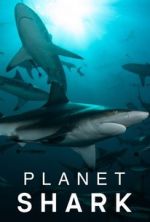 Watch Planet Shark Primewire