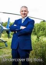 Watch Undercover Big Boss Primewire