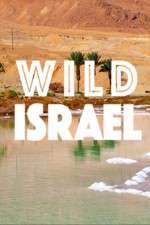 Watch Wild Israel Primewire