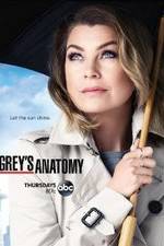 Grey's Anatomy primewire