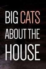 Watch Big Cats About the House Primewire