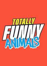 Watch Totally Funny Animals Primewire