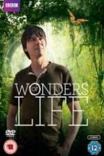 Watch Wonders Of Life Primewire