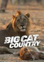 Watch Big Cat Country Primewire