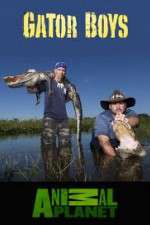 Watch Gator Boys Primewire
