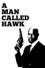 Watch A Man Called Hawk Primewire