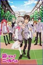 Watch Haiyore Nyaruko-san Primewire