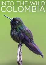 Watch Into the Wild Colombia Primewire