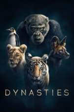 Watch Dynasties Primewire