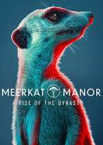 Watch Meerkat Manor: Rise of the Dynasty Primewire