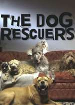 Watch The Dog Rescuers with Alan Davies Primewire