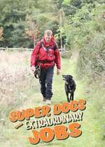 Watch Super Dogs with Extraordinary Jobs Primewire