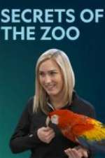 Watch Secrets of the Zoo Primewire