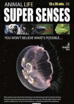 Watch Super Senses Primewire